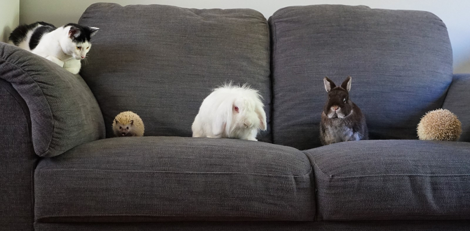 The Gang's All Here - Samantha Innard